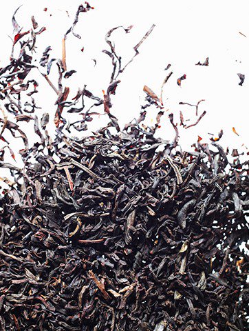 Loreal-Paris-Ingredient-Library-Black-Tea