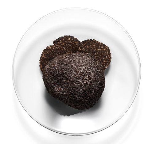 TWC_LOP_CELLRENEWAL_495x470_1