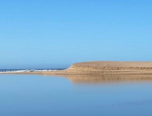 OTRO LUGAR: ¿realmente necesitamos un aeropuerto entre Laguna Garzón y Laguna de Rocha?